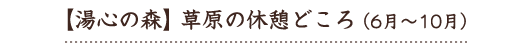 草原の休憩どころ