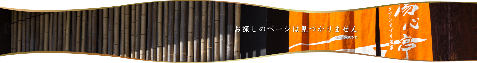 新着情報
