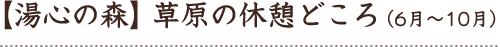 草原の休憩どころ